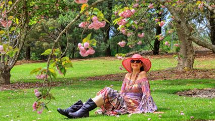 Japanese Garden - Cowra 